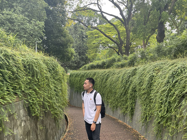 Fort Canning Tunnel แนวธรรมชาติ