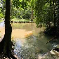 น้ำพุธรรมชาติบ้านท่าช้าง 