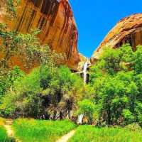 자연의 오아시스: Lower Calf Creek Falls