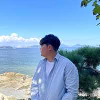 경치 구경하기 좋은 매미성 🌴