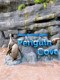 Up Close with Animals at Bird Paradise