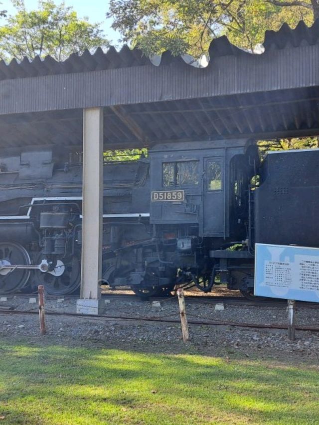 【瞰望岩:北海道遠軽町】圧巻!!巨大な岩を見に行こう♪