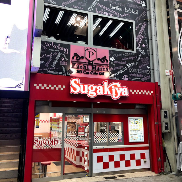 ［名古屋］探索與品味多元化的大須商店街