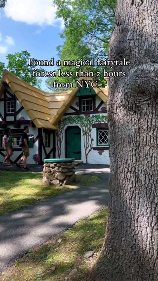 Magic is in the air at the FairyTale Forest! 🧚🦄🐉