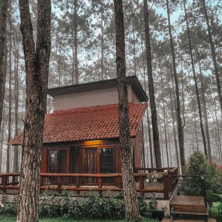 ที่พักวิวป่าสน จ.เชียงใหม่🍂🪵
