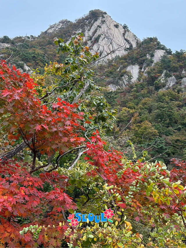 Fall colors finally showing at Bukhasan mountain!