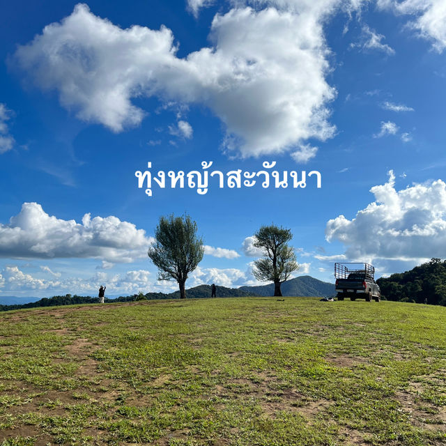 ถ่ายรูปกลางทุ่งหญ้าเขียวขจี🍃🌳🌱
