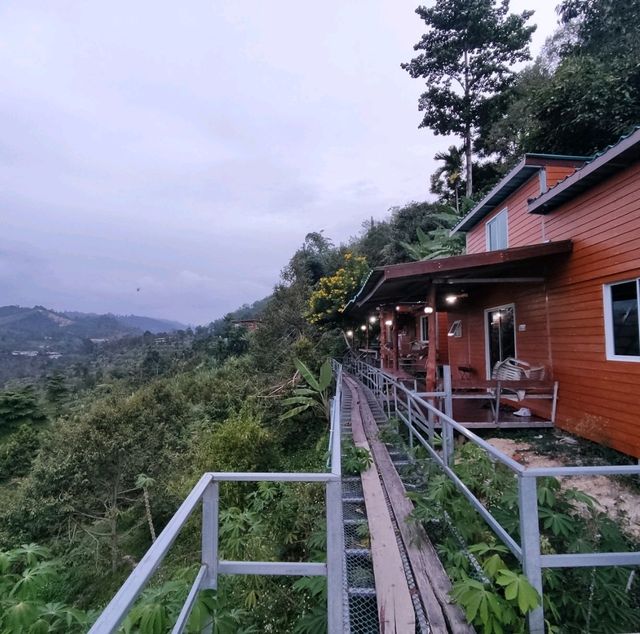 Camping With A View