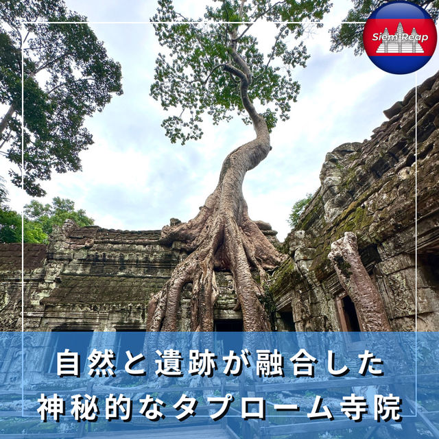 【カンボジア/シェムリアップ】自然と遺跡が融合した神秘的なタプローム寺院