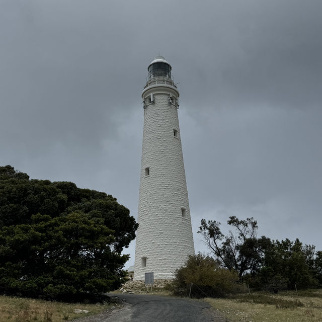 Wadjemup Lighthouse：羅特尼斯島的燈塔奇觀 🌅🏮