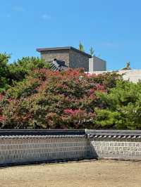 전주, 의외의 포토스팟 <경기전>