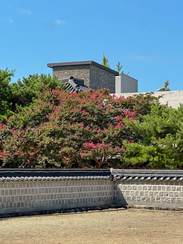 전주, 의외의 포토스팟 <경기전>