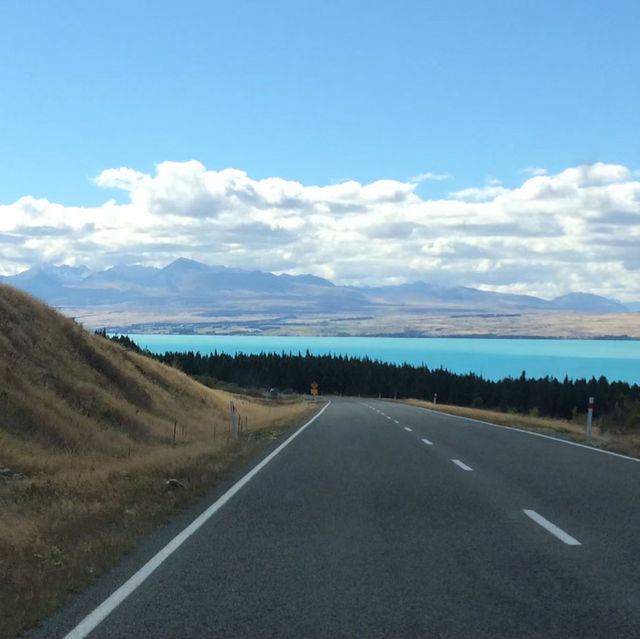 【ニュージーランド🇳🇿】テカポ湖ドライブ！