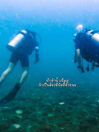 Scuba ครั้งแรกที่เกาะเต่า🏖️🤿