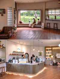 JUDY'S HOME คาเฟ่เมืองลำพูนกับน้องห่านสุดน่ารัก