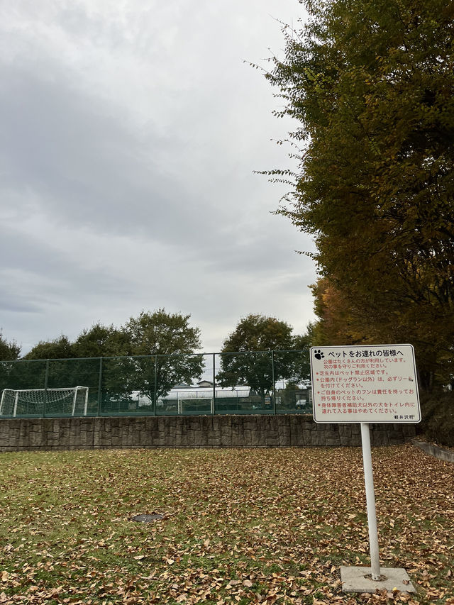 【軽井沢】遊具もターザンロープもある！紅葉が綺麗な緑地公園🍁