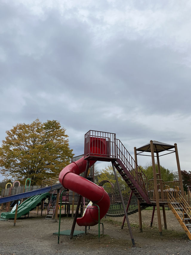 【軽井沢】遊具もターザンロープもある！紅葉が綺麗な緑地公園🍁