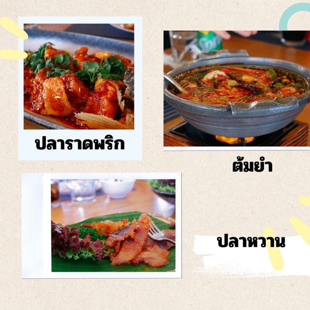 อร่อยไม่รู้ลืม ท่าเรือ 2507