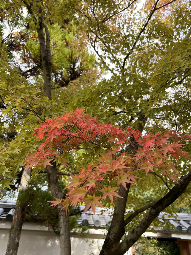日本獨旅18天Day12 姬路