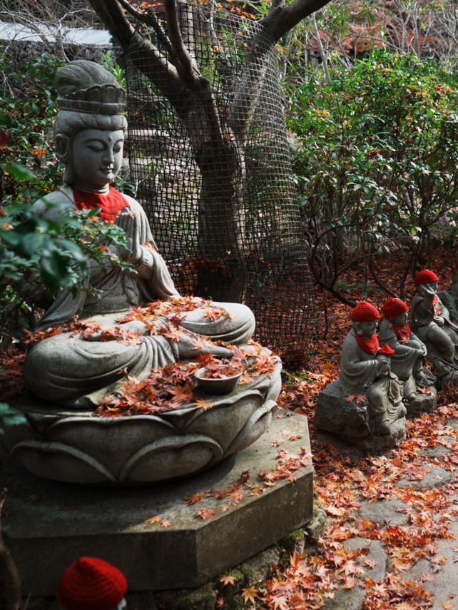 Hiroshima Tourism] Miyajima Daisho-in Temple, surrounded by solemn