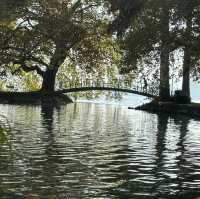 楚格湖畔的美麗公園