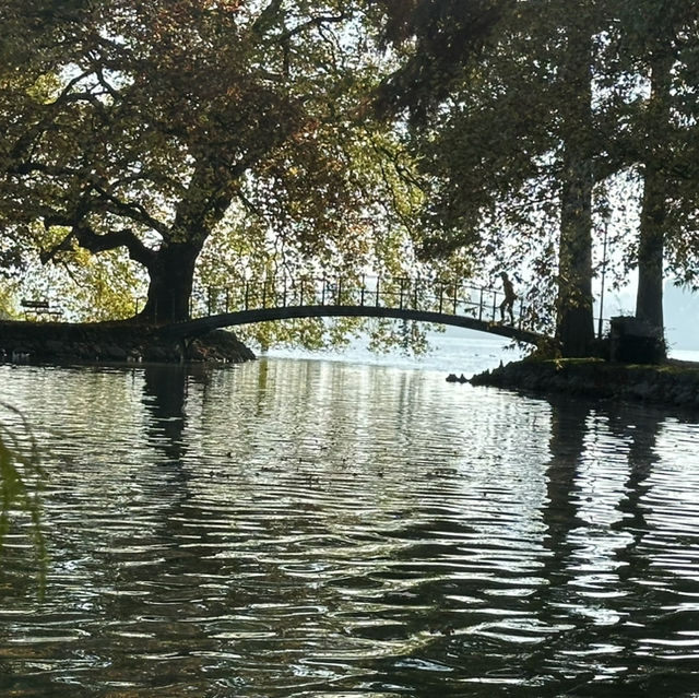 楚格湖畔的美麗公園