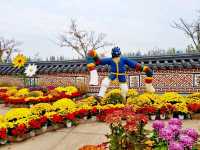계양아라온 수향원 국화축제 나들이❣️