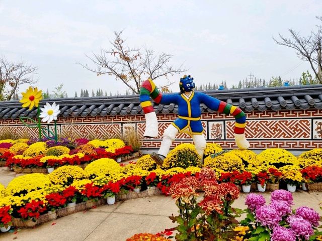 계양아라온 수향원 국화축제 나들이❣️