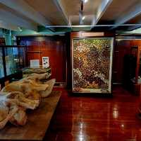 泰國曼谷朱拉隆功大学自然历史博物館，親子博物館遊覽好去處