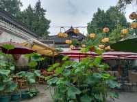 成都　錦里商店街散策！