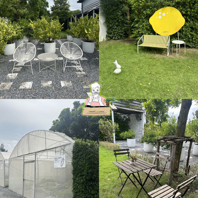 Lemon me farm คาเฟ่สวนมะนาว | นครปฐม