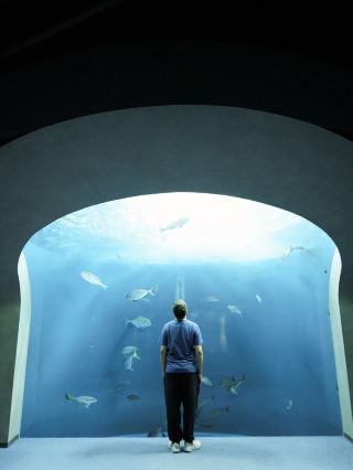 日本景點🇯🇵這個水族館太美了