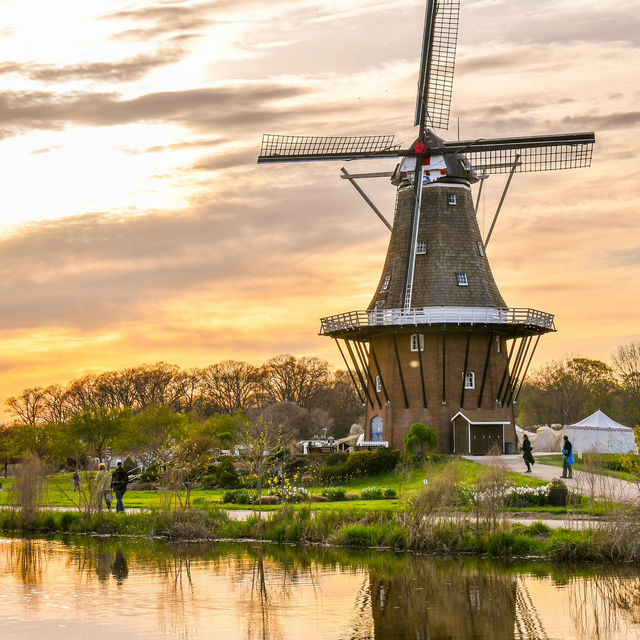 Holland: Windmills, Tulips, and Timeless Canals