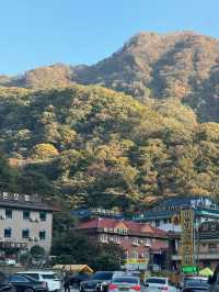 단풍명소 - 내장산 🏞️