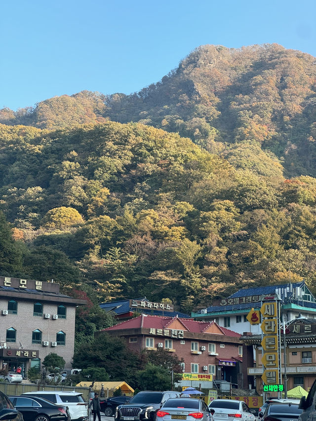 단풍명소 - 내장산 🏞️