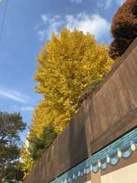 Step Back in Time at Bukchon Hanok Village