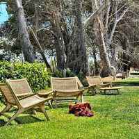 Beautiful winery experience at Adelaide 