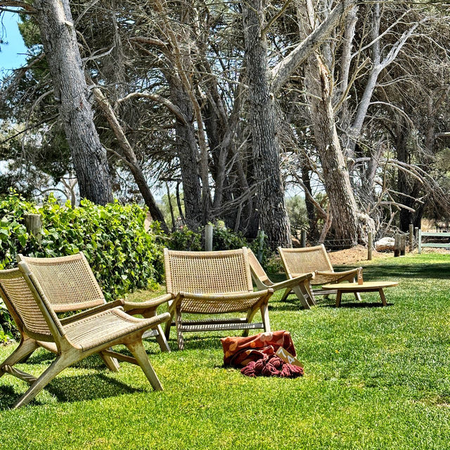 Beautiful winery experience at Adelaide 
