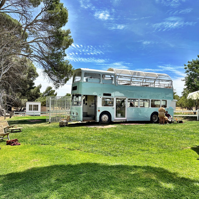 Beautiful winery experience at Adelaide 