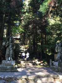 【国東】仁王像に守られた真っ赤な紅葉🍁 