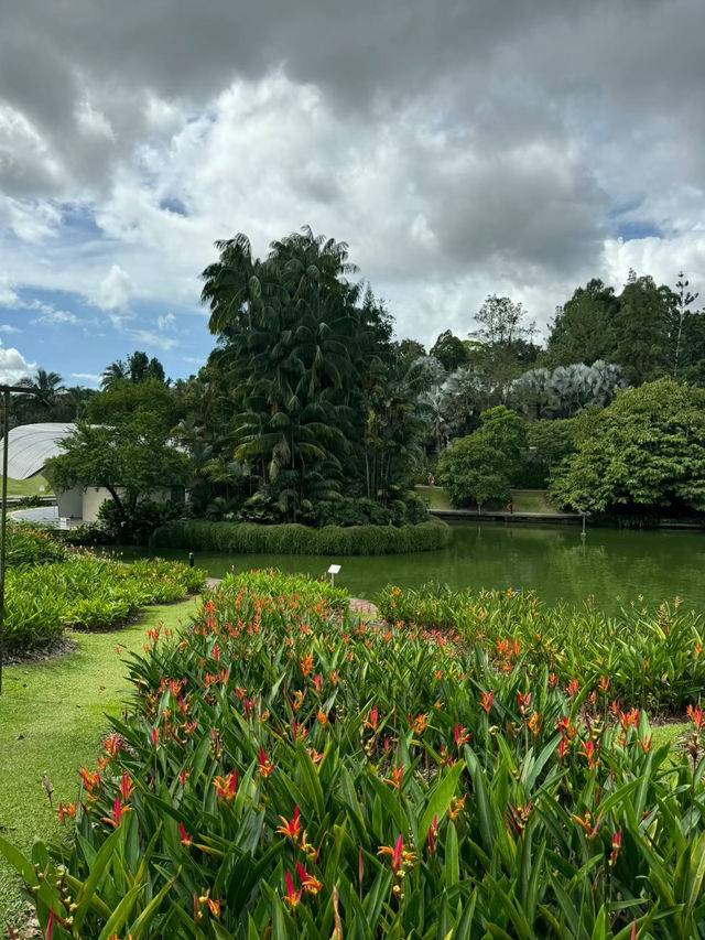 Singapore Botanic Gardens: A Serene Escape into Nature