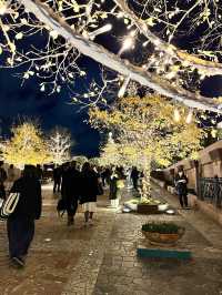 【 東京 丸の内 恵比寿 】一度は見たい！都会を彩る圧巻のクリスマスツリー！