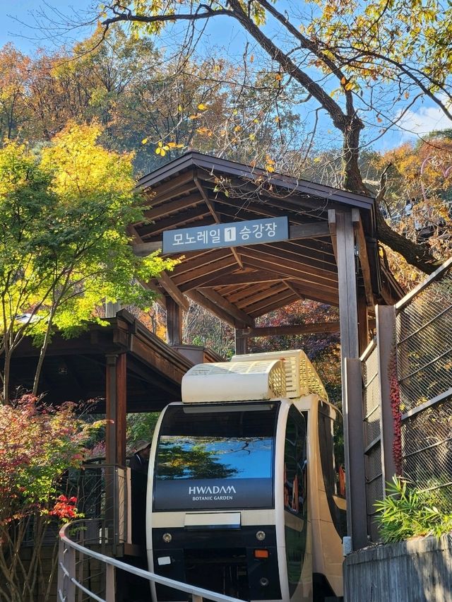 ❤️서울근교에서 가을을 느낄 수 있는 인기명소, "화담숲"❤️