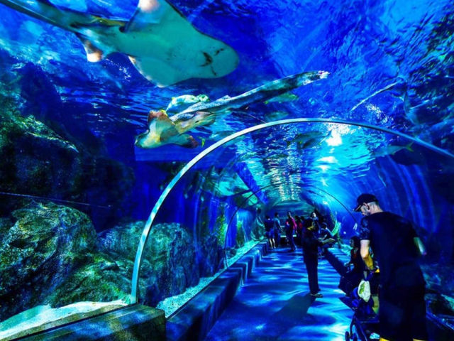 曼谷親子景點｜暹羅海洋世界🐠🦈