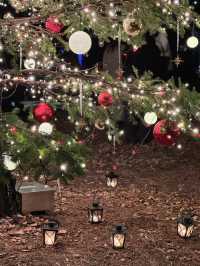 【軽井沢】キャンドルランタンの世界へ🕯おすすめクリスマスイルミネーション