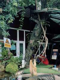 Flavors of Thailand: A Journey Through Saiyut & Doctor Sai Kitchen