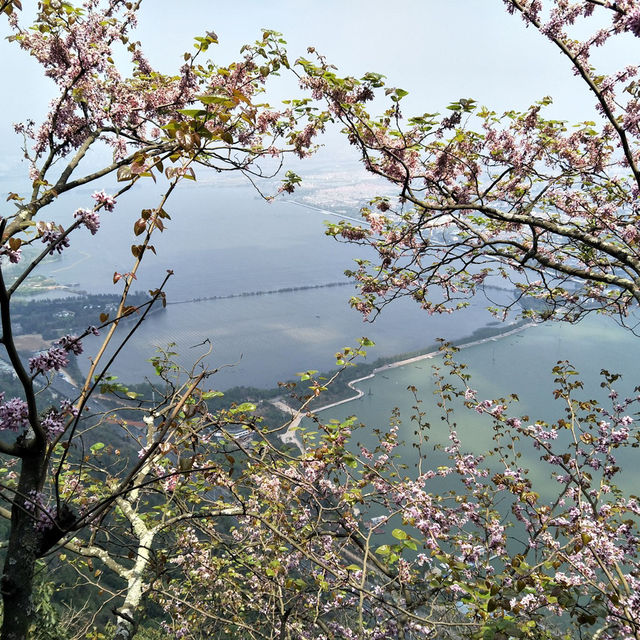 A Journey Through Nature and History: Dian Lake