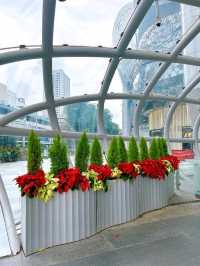 Christmas Vibe in Orchard Road