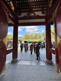 学問の神の総本宮  朱塗りの楼門、太鼓橋、3年限定「浮かぶ森」