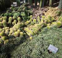 深圳仙湖植物公園